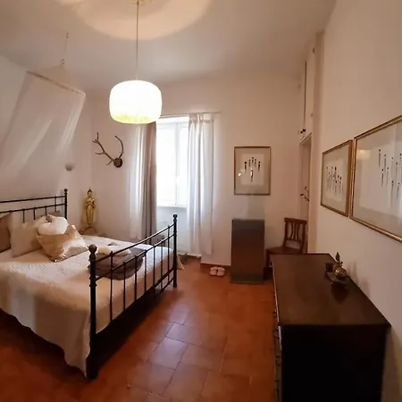 Willa Villa Mareluna With Pool Lido Marini