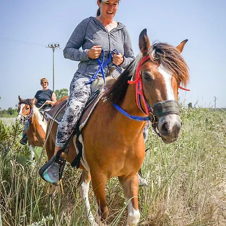 Lido With Pool And Garden