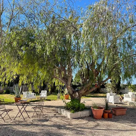 Villa Lido With Pool And Garden Lido Marini